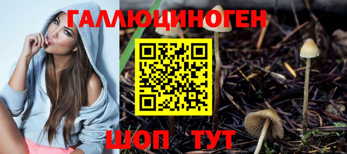 Галлюциногенные грибы Magic Shrooms Полевской