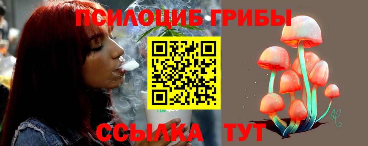 наркота  Вход с VPN  Полевской  Галлюциногенные грибы GOLDEN TEACHER 