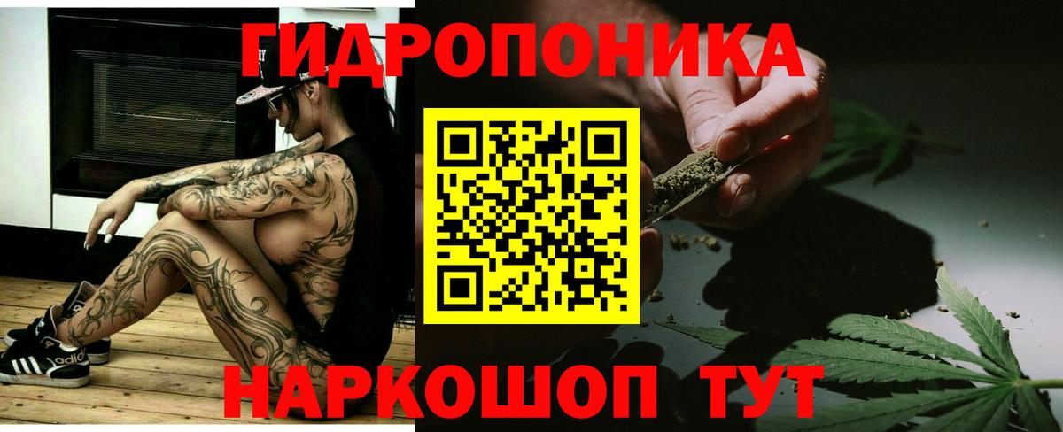Полевской  Бошки Шишки OG Kush  Марихуана планчик  Конопля Amnesia  Вход с VPN 